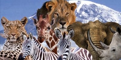 HIGHLANDS & HEARTLAND