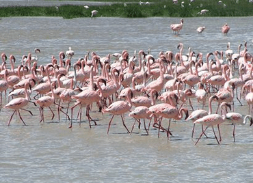 HIGHLANDS & HEARTLAND