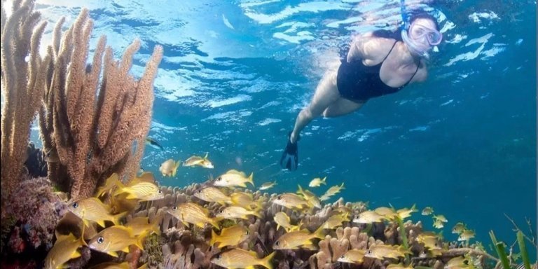 Roatan Snorkeling + Beach + Sloths