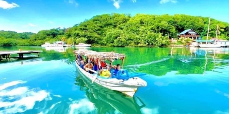 Roatan Mangrove + Sloths