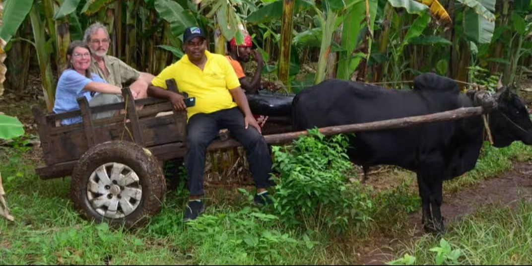 Zanziflowers Tours And Safari Limited