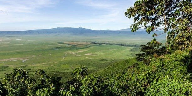 Serengeti, Ngorongoro & Zanzibar 8 Days Safari with Flights