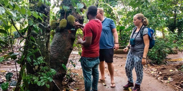 Jozani Forest, Spice farms, & Prison Island