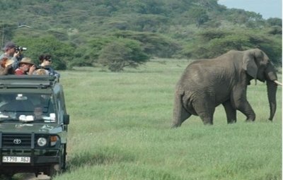 Selous day trip Safari from Zanzibar