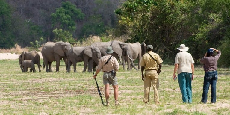 Selous day trip Safari from Zanzibar