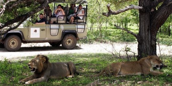 Mikumi day Trip Safari from Zanzibar