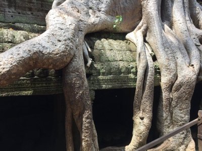 Sharing Trip to Angkor Temple with sunset