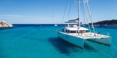 Boat Trips & Charters