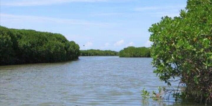 Negombo sightseeing and lagoon boat tour