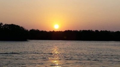 Negombo sightseeing and lagoon boat tour