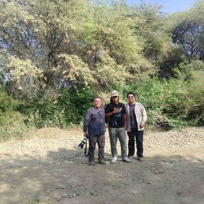 Mancora birdwatching