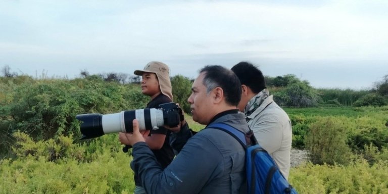 Mancora birdwatching