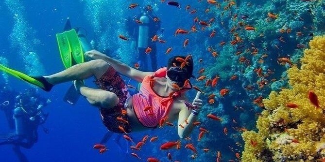 Mnemba Snorkeling + Swimming With Turtles & Watchin the Sunset