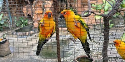 Garden & Park Half Day Tour (SIC Tour – Shared/Join In Tour)