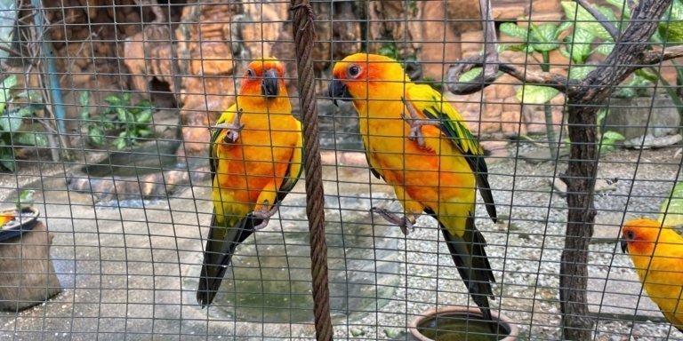 Garden & Park Half Day Tour (SIC Tour – Shared/Join In Tour)