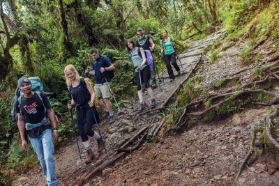 Mount Kilimanjaro Trekking, Lemosho Route Mount Kilimanjaro Trekking, Lemosho Route