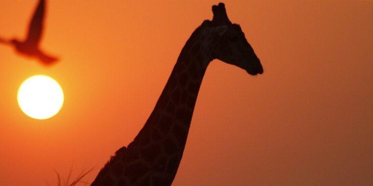 5-Day Delta and Wilderness Safari