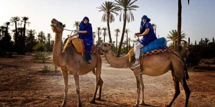 Marrakech: Camel Ride Tour in Palmeraie & Explore Hidden Oasis