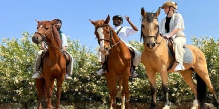 Marrakech: Private Tour Horseback Ride in Palmeraie With Mint Tea