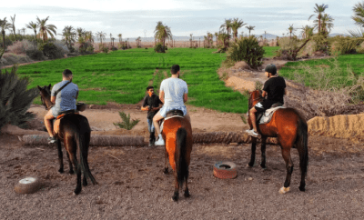 Marrakech: Private Tour Horseback Ride in Palmeraie With Mint Tea