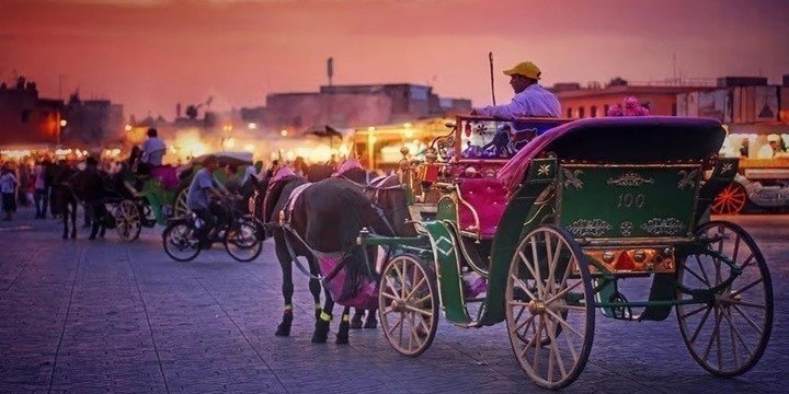 Marrakech: Private 1-Hour Horse-drawn Carriage Tour