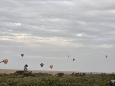 Masai Mara Wilbeest Migration Safari