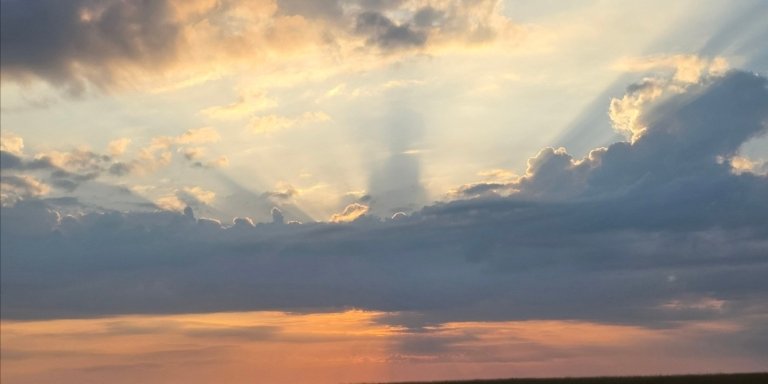 Masai Mara Wilbeest Migration Safari