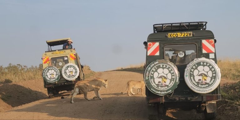 7 Day Private Kenya Safari Adventure