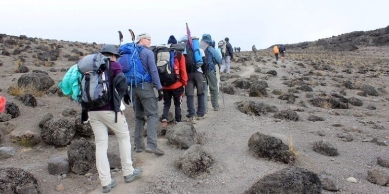 Mount Kilimanjaro Trekking via Umbwe Route