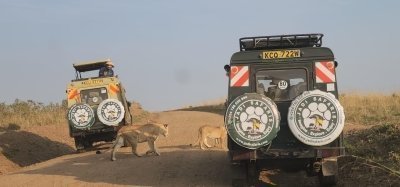 5-Day Kenya Safari Mt. Kenya, Lake Nakuru & Mara |Jadi Safari