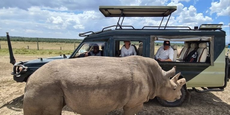 5-Day Kenya Safari to Mt. Kenya, Lake Nakuru & Maasai Mara