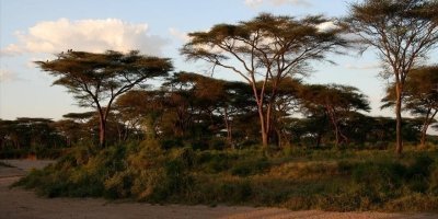 10-Day Visit Bale Mountain, Omo Valley & City Tour