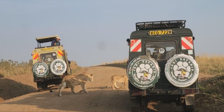 6 Days Kenya Group Joining Safari|Jadi Safaris