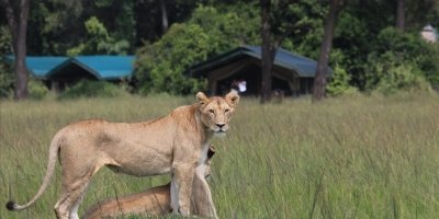 9 Day Kenya Private Safari|Jadi Safaris