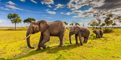 2 Day Lake Naivasha & Hell’s Gate Safari|Jadi Safaris