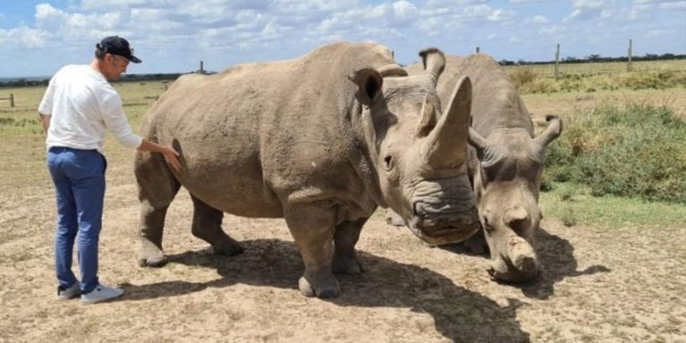 3 day Ol-Pejeta  Kenya Safari|Jadi Safaris