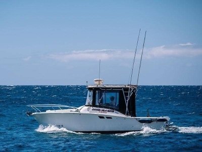 White Tuna - Rent a Fishing Boat in Tenerife with or without Skipper