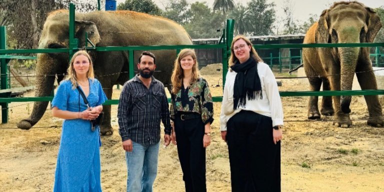 Explore Taj Mahal & Elephant Rescue Center Day Trip from Delhi