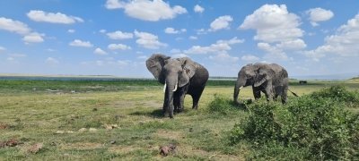 3 Day samburu safari in Kenya |Jadi Safaris
