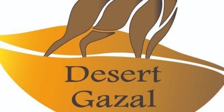 2 Days and 1 Night White Desert Camping