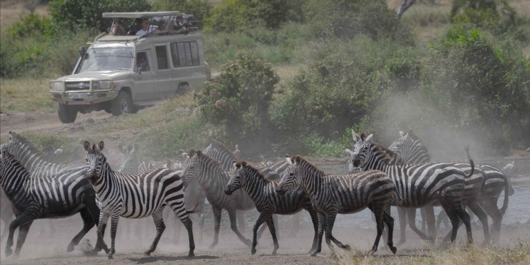 6 Days - Tarangire, Lake Manyara Serengeti & Ngorongoro Crater