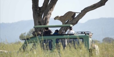 5 Days - Best of Tanzania Wild Adventure