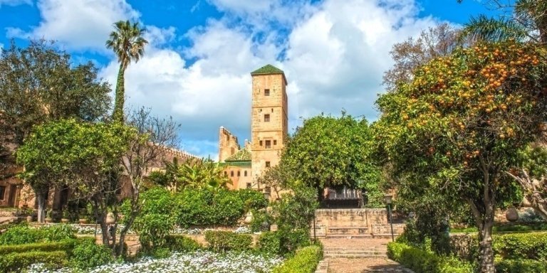 Private Trip from Casablanca to Magical Marrakech