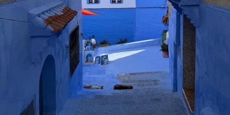 Highlights of the North of Morocco