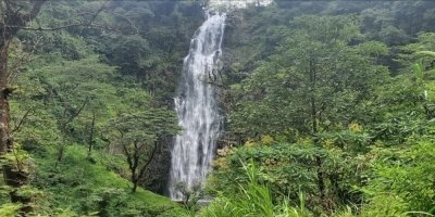 Materuni Waterfalls & Coffee Making Discovery Tour
