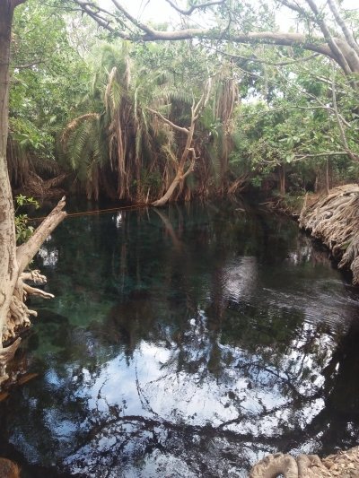 Full-Day Tour Adventure at Kikuletwa (Chemka) Hot Spring