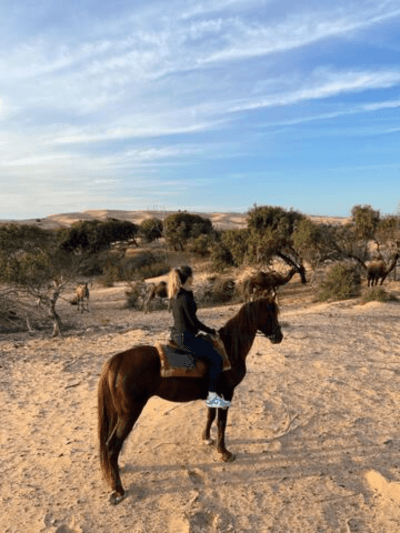 Half day horse ride through Essaouira’s forest, dunes, and beach