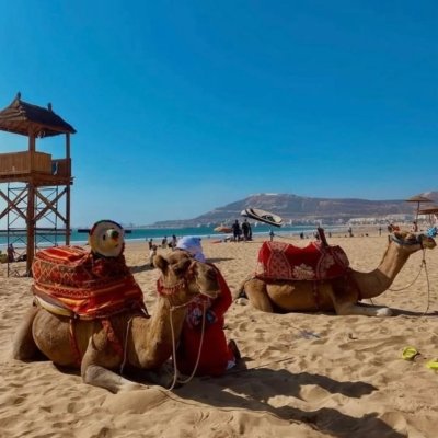 Tangier Cruise Shore Excursion