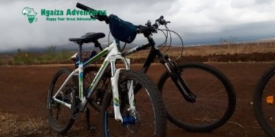 Bike Tours & Rentals
