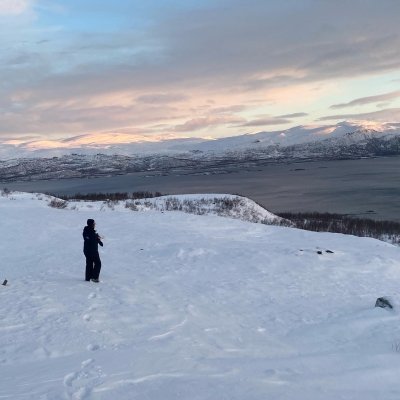 The Arctic Unveiled: Sweden’s Fjälls to Norway’s Lofoten Coast